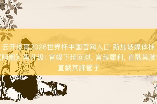 云开体育2026世界杯中国官网入口 新加坡媒体抹黑《阿嬷》再升级! 官媒下场回怼, 言辞犀利, 直戳其肺管子